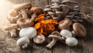 Pilze sind das neue Superfood: Reich an Umami und wertvollen Nährstoffen